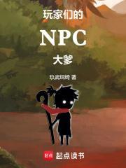 电脑玩家npc
