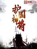 护国神将 短剧