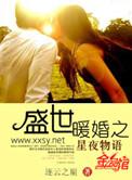 盛世暖婚星夜物语免费阅读