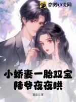 小娇妻一胎双宝陆爷夜夜哄