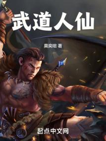 武道人仙境界