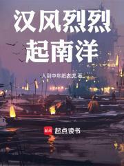 汉风烈烈起南洋免费
