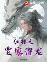 红楼之贾家长子