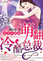 萌翻冷酷总裁亲亲小新娘 镜月姬