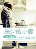名门权少盛宠妻全文阅读