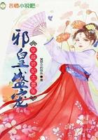 穿越之邪皇宠妃
