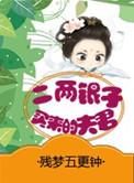 二两银子买来的夫君叶小蛮