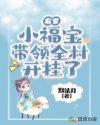农家小福宝带领全村开挂了txt