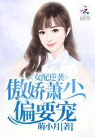 女配逆袭之我的傲娇箫少 萌小月