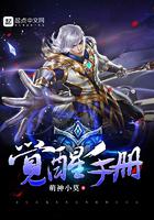 觉醒v0.34攻略