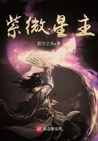紫微星主轮回转世