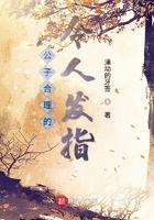 公子很正义