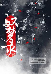驭梦录