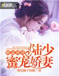 婚途漫漫：陆少蜜宠娇妻