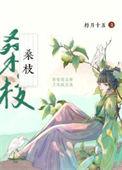 古代药膳手札