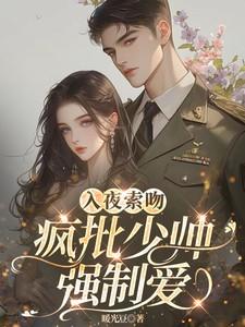 入夜索吻：疯批少帅强制爱