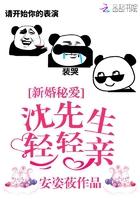 新婚秘爱：沈先生轻轻亲