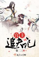 宫主追夫记